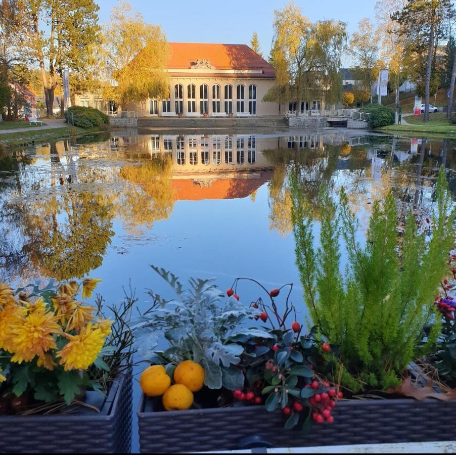Hotel Garni Schloss Schoenberg Bad Brambach Kültér fotó
