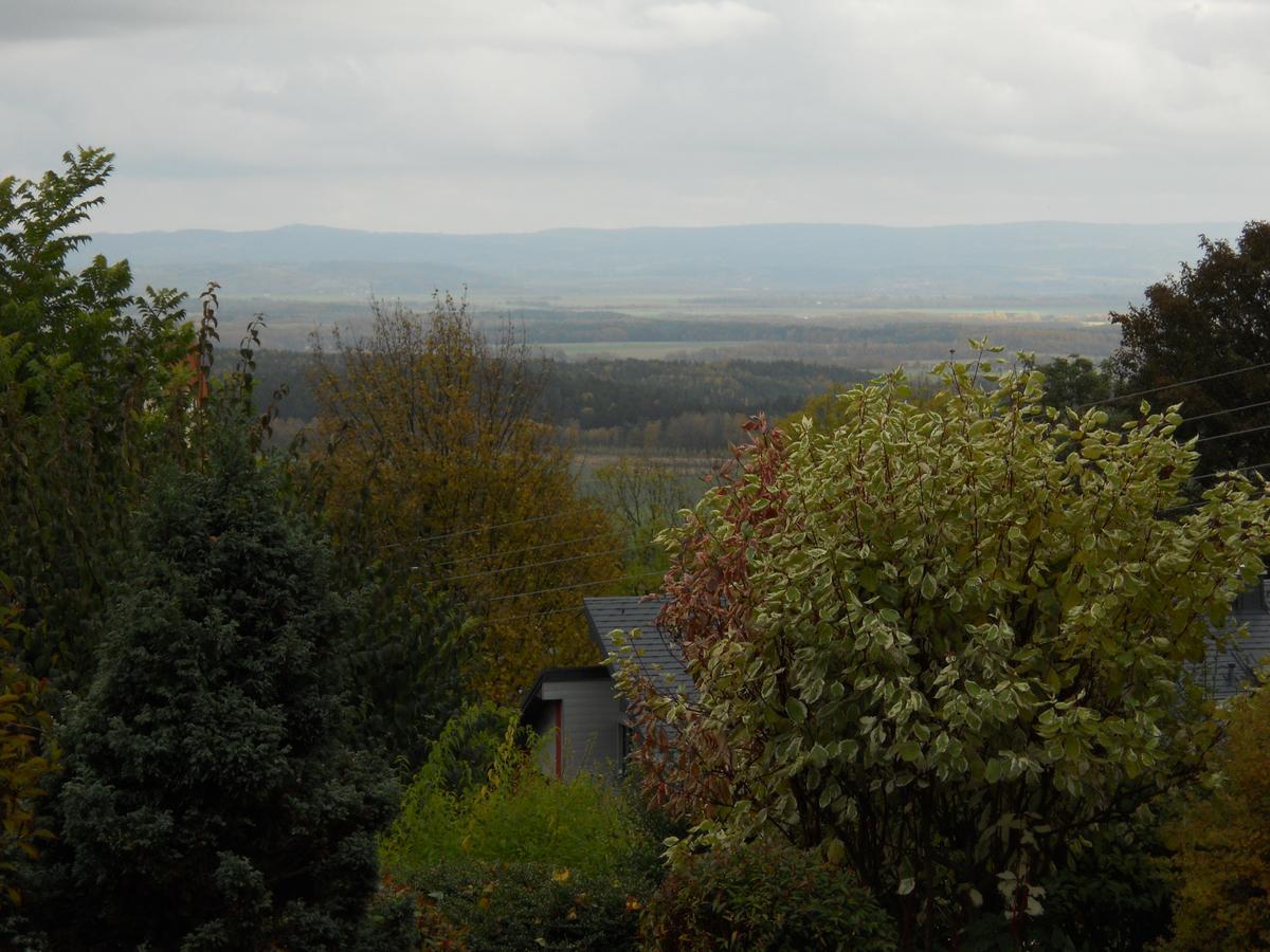 Hotel Garni Schloss Schoenberg Bad Brambach Kültér fotó